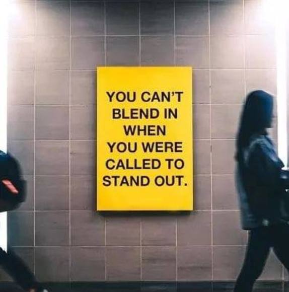 Meet your Posher, Jerry - Picture 1 of 1